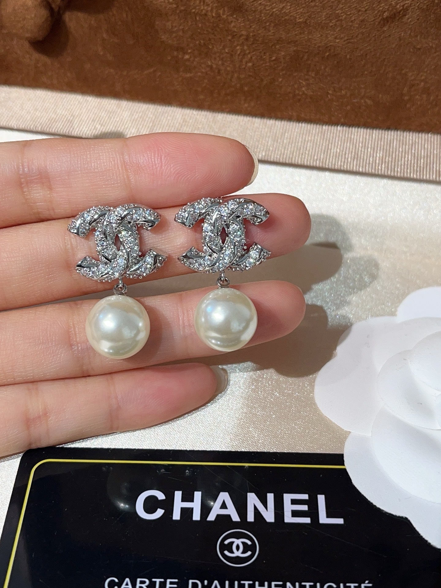 A1249 Women's new fashionable earring jewelry