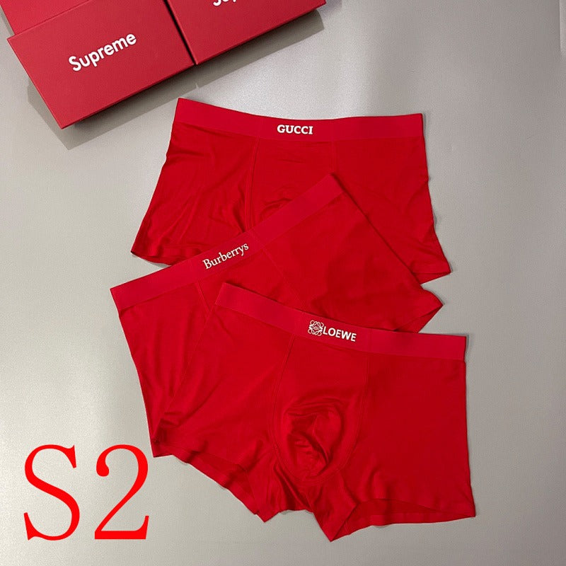 PTS2 All Underpants L-XXXL boxer briefs 3 with Box