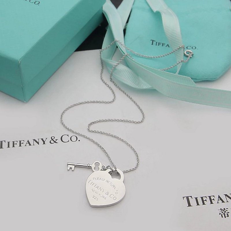 TN105 Classic gold-plated necklace Jewelry