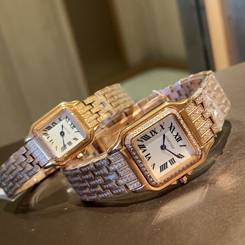 CW10 Women's 316L stainless steel case with full diamond 22×30mm/27 x 37mm watch