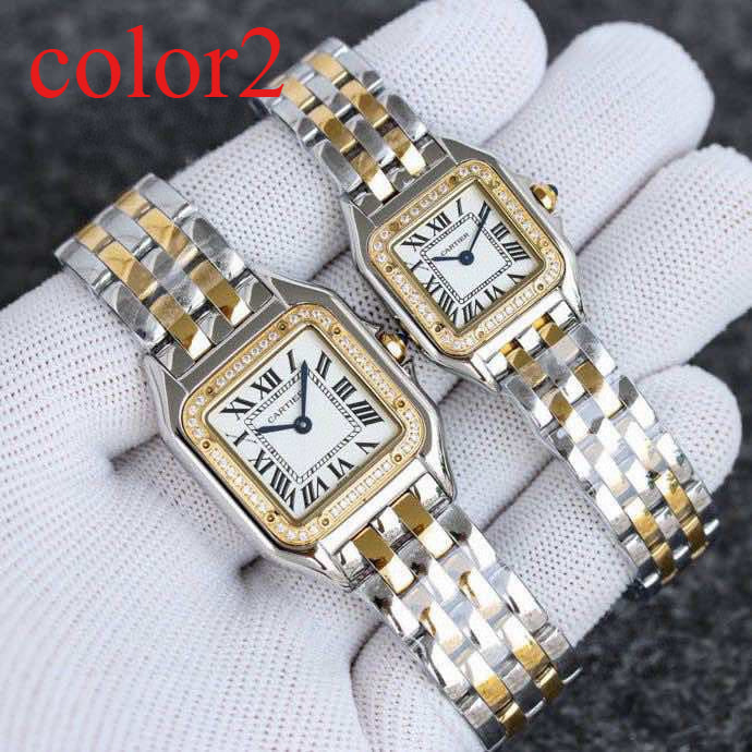 CW75   316L stainless steel case, intellectual women's watch 27 x 37/22*30 mm