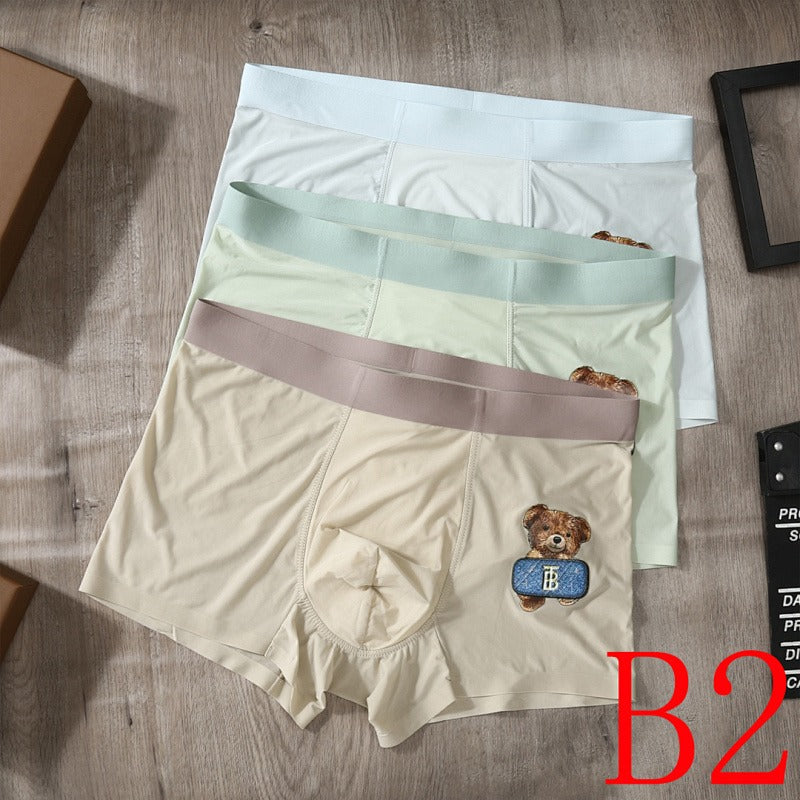 PTS2 All Underpants L-XXXL boxer briefs 3 with Box