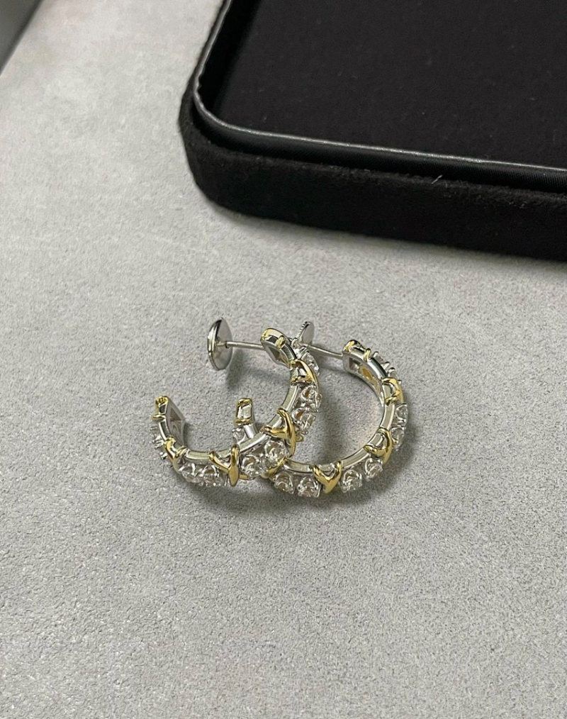 A1241  Women's new earring jewelry