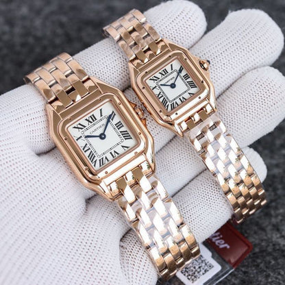 CW75   316L stainless steel case, intellectual women's watch 27 x 37/22*30 mm