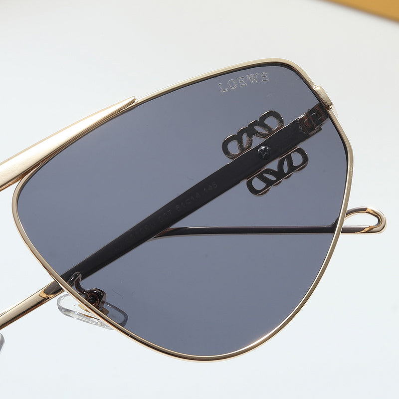 40108  Sunglasses with box