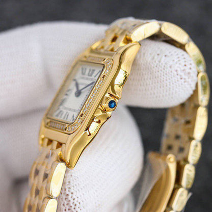CW75   316L stainless steel case, intellectual women's watch 27 x 37/22*30 mm