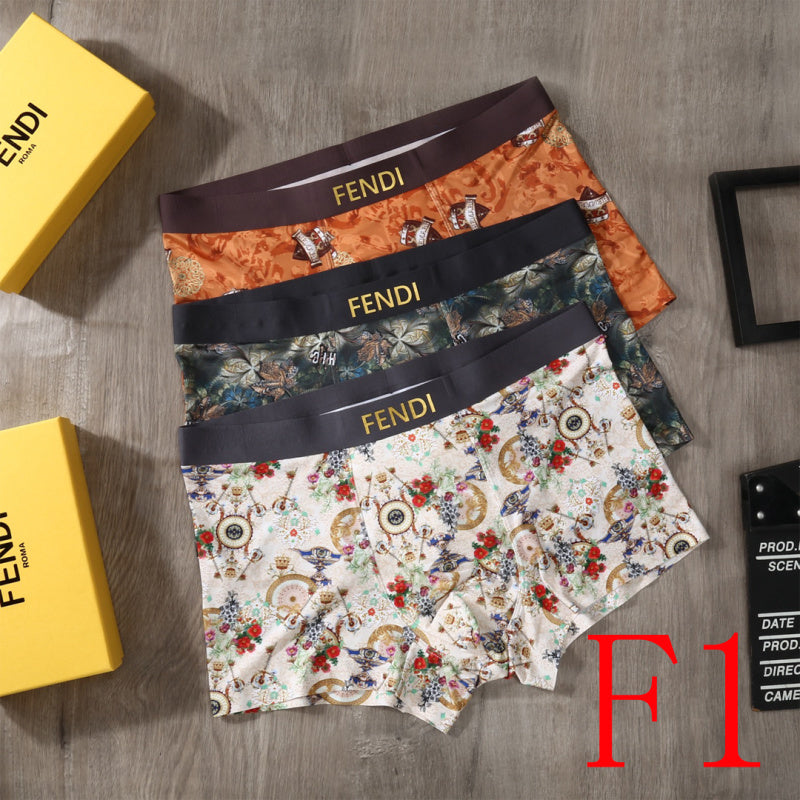 PTS2 All Underpants L-XXXL boxer briefs 3 with Box